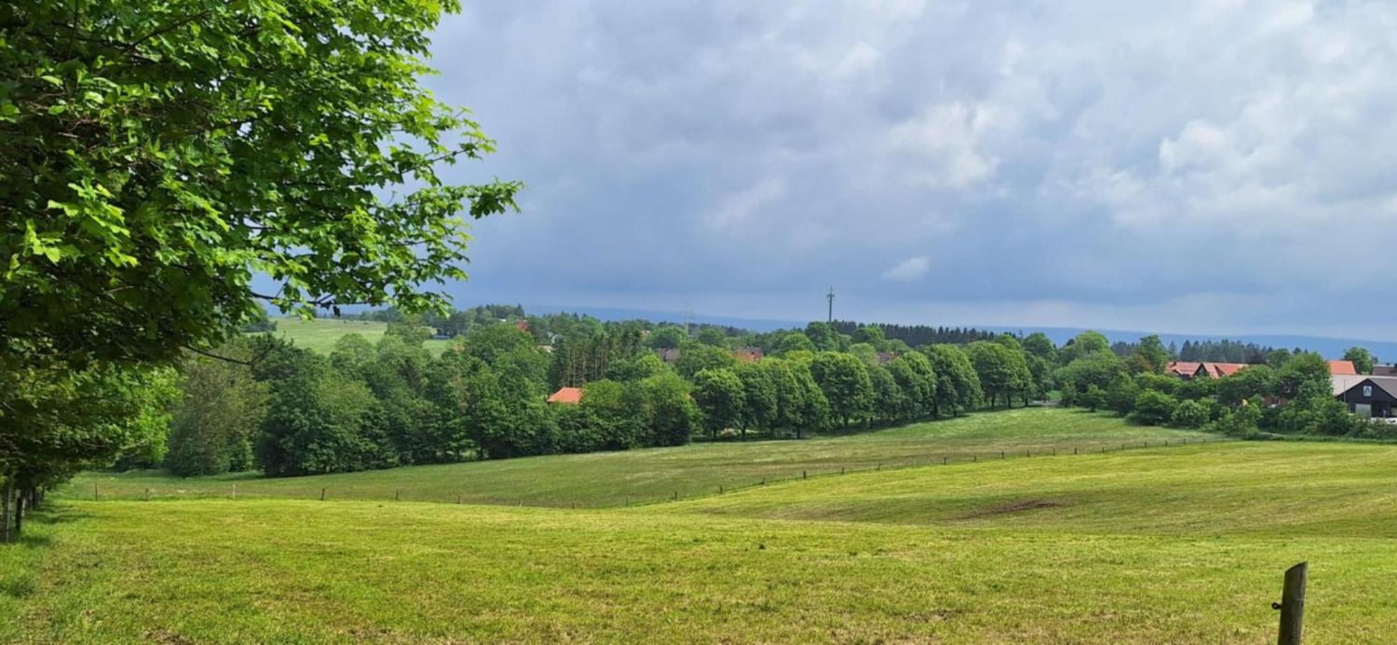 Mai-Ferienhaus-Harz 210Qm Clausthal-Zellerfeld Bagian luar foto